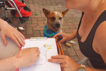 Kenny Besuchshund Eisleben Meinerland Hundeakademie Therapiebegleithund