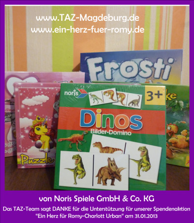 Spendenaktion für Romy am 31.01.2013 in der TAZ Hundeschule Magdeburg