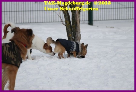 Schnüffelgarten TAZ Magdeburg