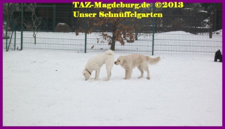 Schnüffelgarten TAZ Magdeburg