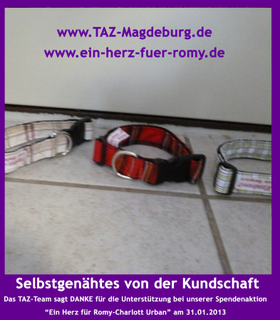 Große Spendenaktion für Romy-Charlott Urban am 31.01.2013
