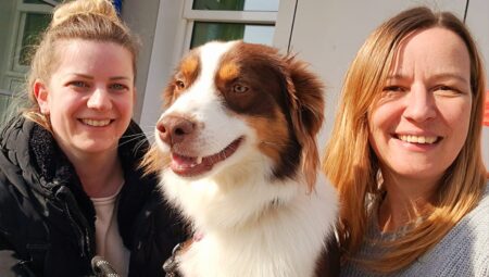 Therapiebegleithund Cooper Therapiehund