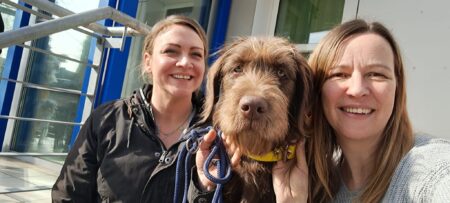 Doodle Besuchshund Therapiebegleithund Magdeburg