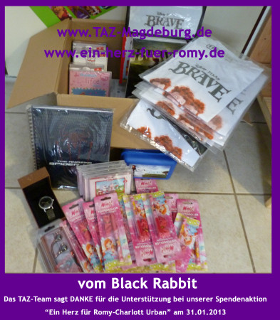 Große Spendenaktion für Romy-Charlott Urban am 31.01.2013