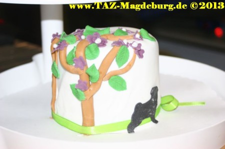 Spendenaktion für Romy-Aktion im TAZ