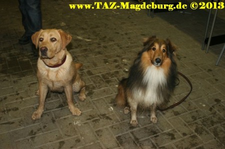 Spendenaktion für Romy-Aktion im TAZ